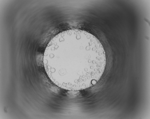 X0000103960480200810311618