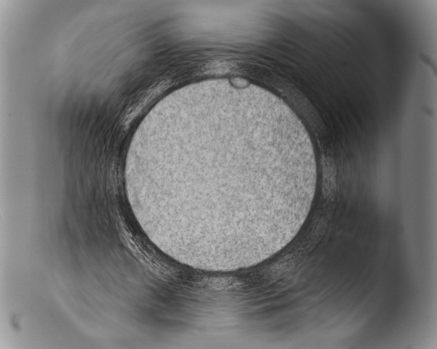X0000103960482200810311617