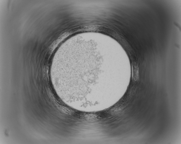 X0000103960483200810311617