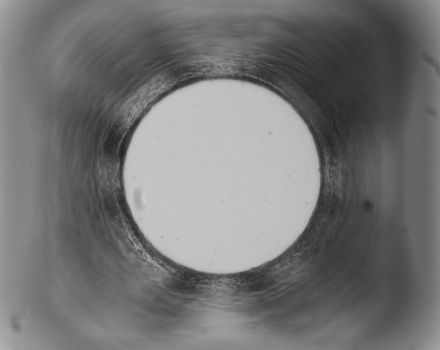 X0000103960485200810311617