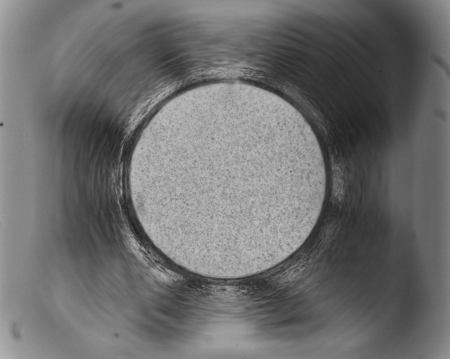 X0000103960486200810311617