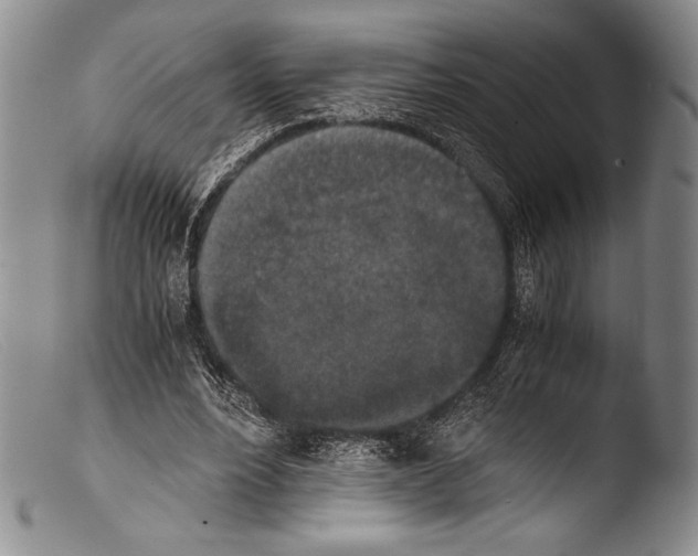 X0000103960488200810311617