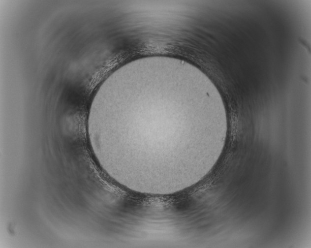 X0000103960489200810311617