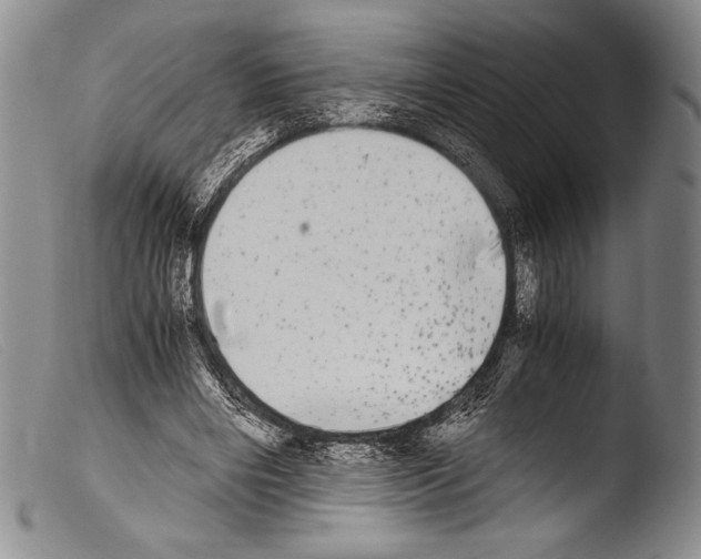 X0000103960490200810311617