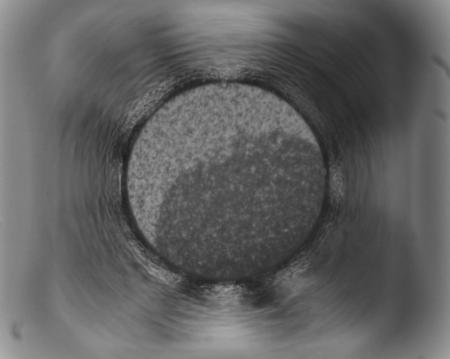 X0000103960493200810311617