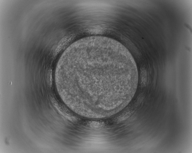 X0000103960494200810311617