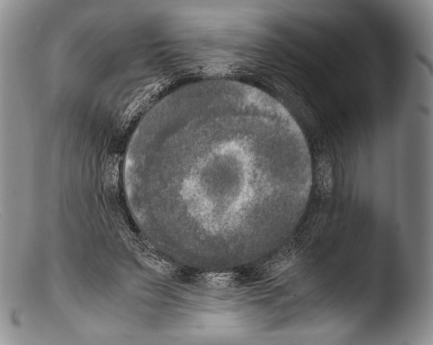 X0000103960495200810311617