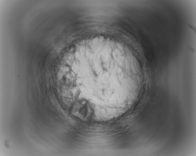 X0000103960497200810311617