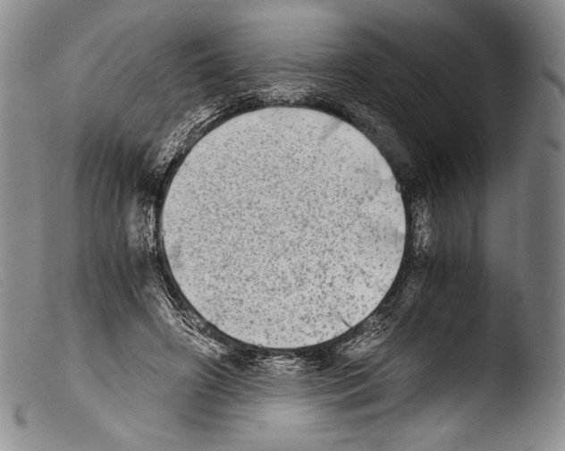 X0000103960498200810311617