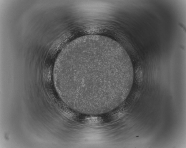 X0000103960499200810311617