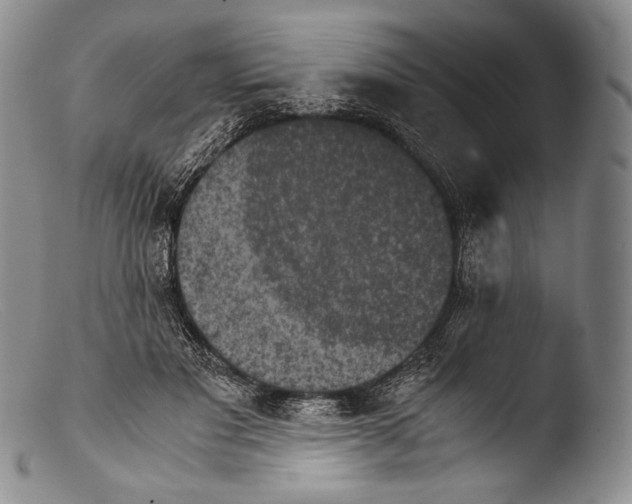 X0000103960501200810311617
