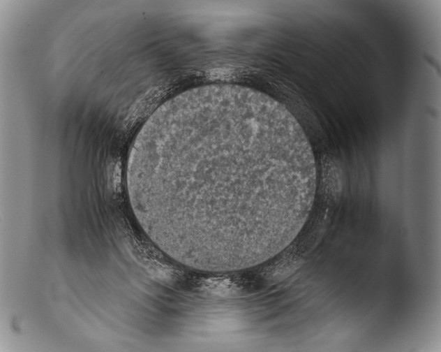 X0000103960502200810311617