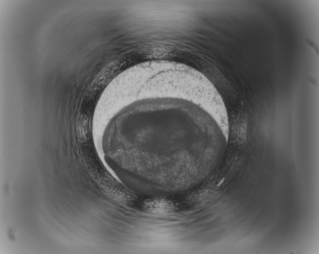X0000103960503200810311617