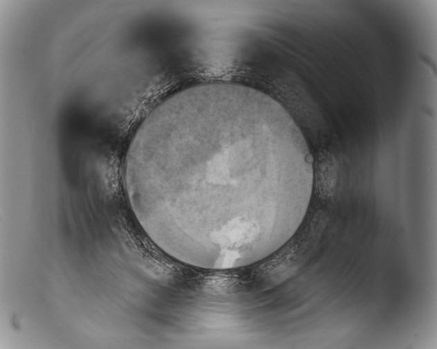 X0000103960504200810311617