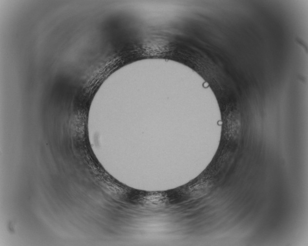 X0000103960505200810311617
