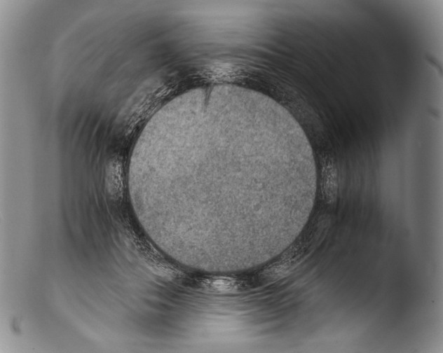 X0000103960506200810311617