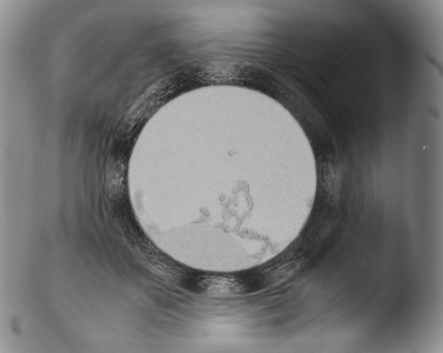 X0000103960507200810311617