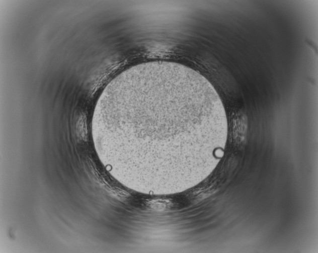 X0000103960508200810311617