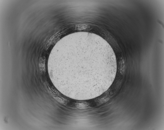 X0000103960510200810311617