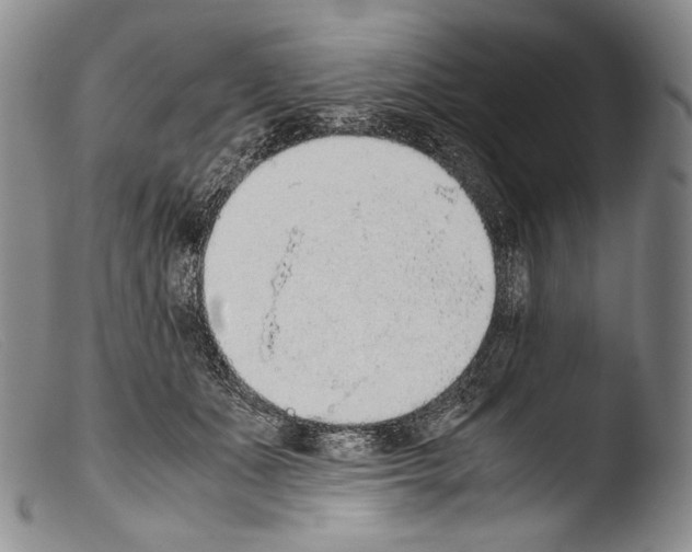 X0000103960511200810311617