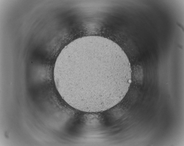 X0000103960512200810311617