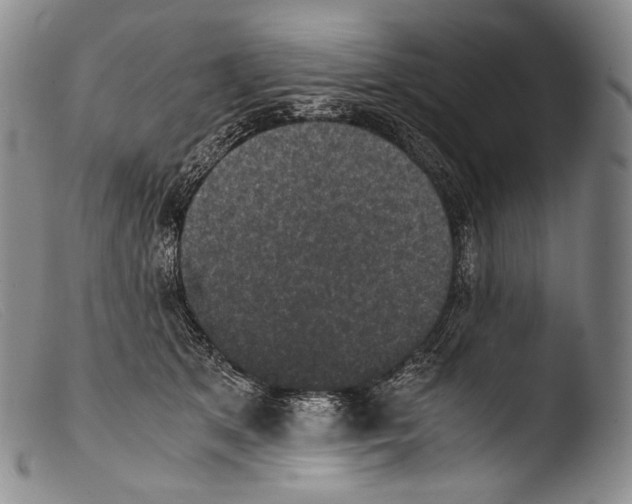 X0000103960513200810311617