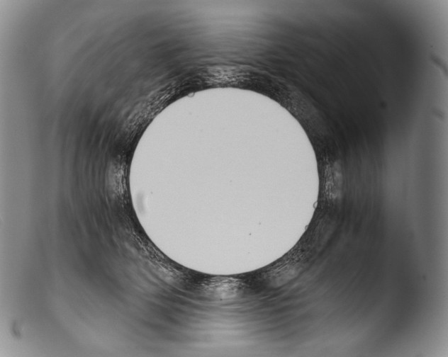 X0000103960514200810311617