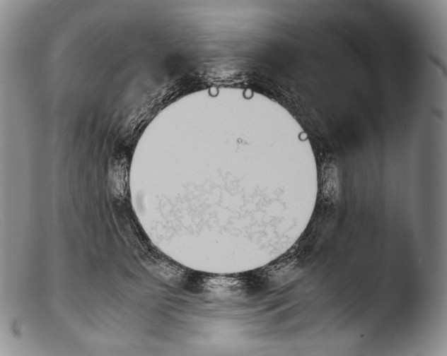 X0000103960515200810311617