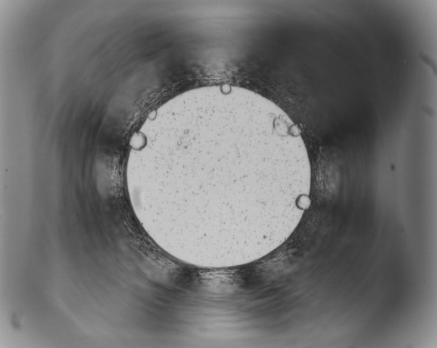 X0000103960516200810311617
