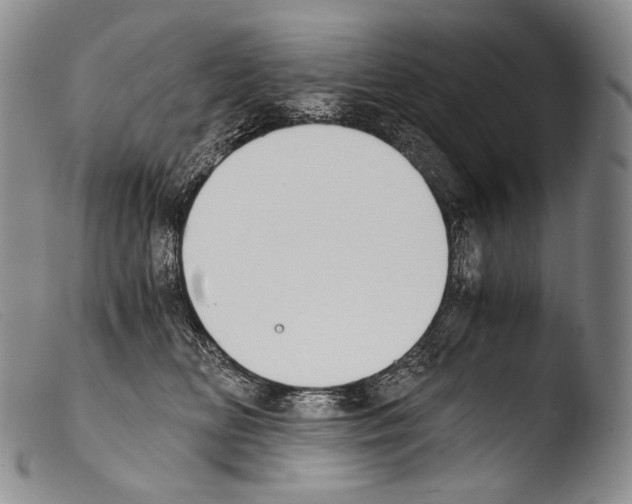 X0000103960518200810311617