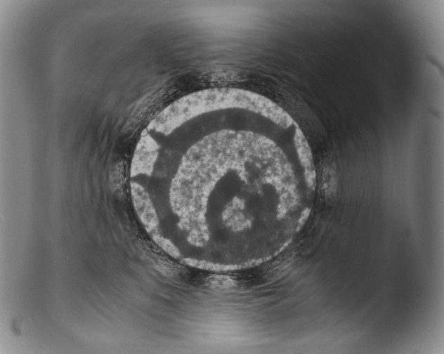X0000103960519200810311617