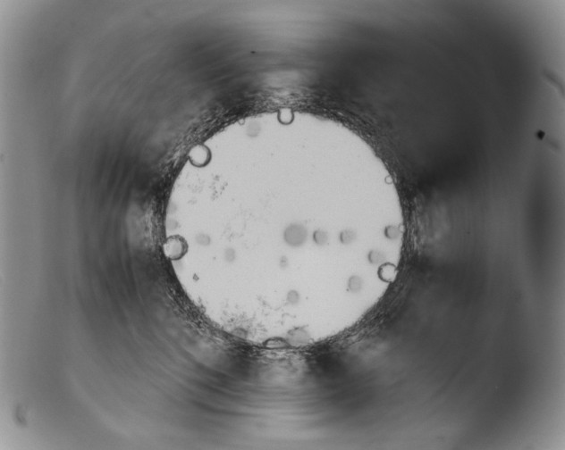 X0000103960520200810311617