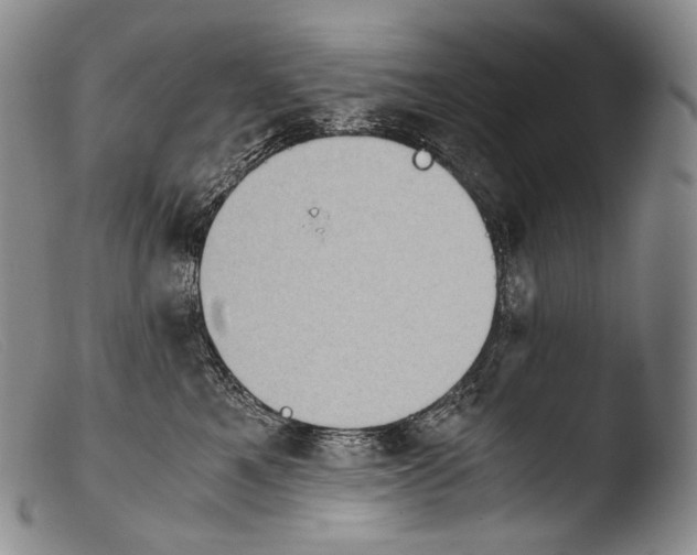 X0000103960521200810311617
