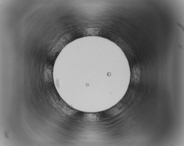 X0000103960522200810311617