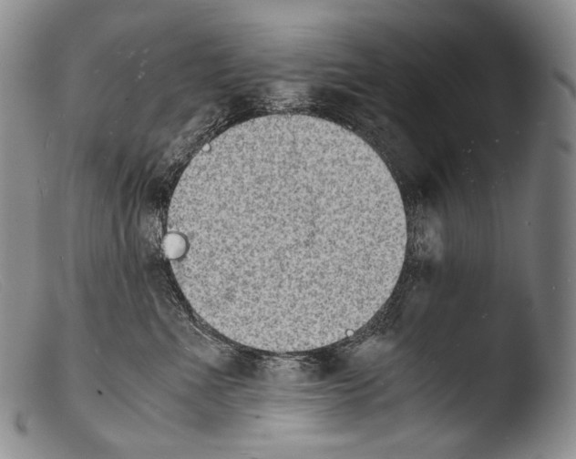 X0000103960523200810311617