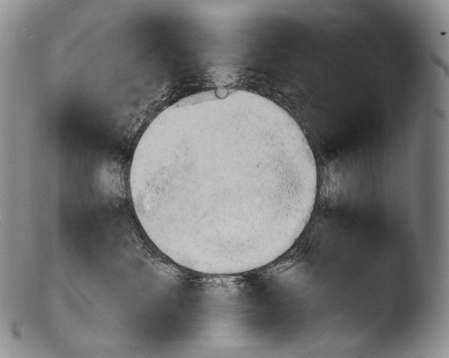 X0000103960524200810311617