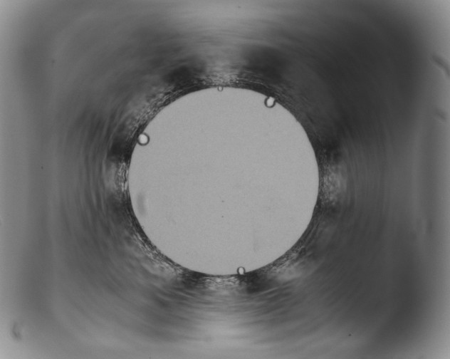 X0000103960525200810311617
