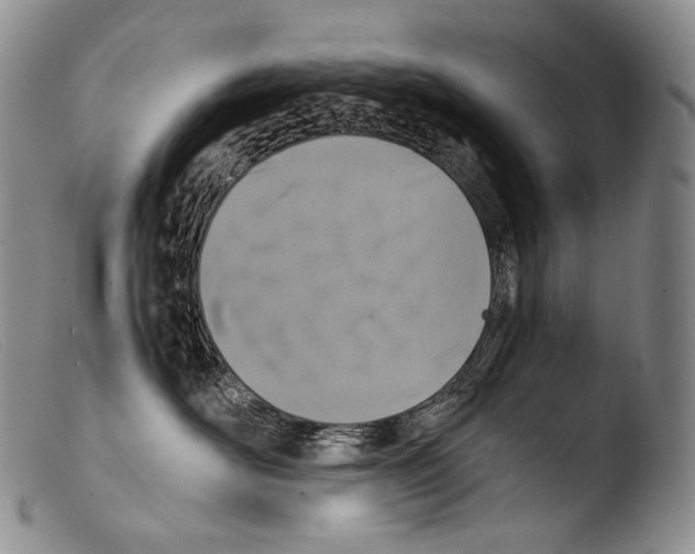X0000103960526200810311617