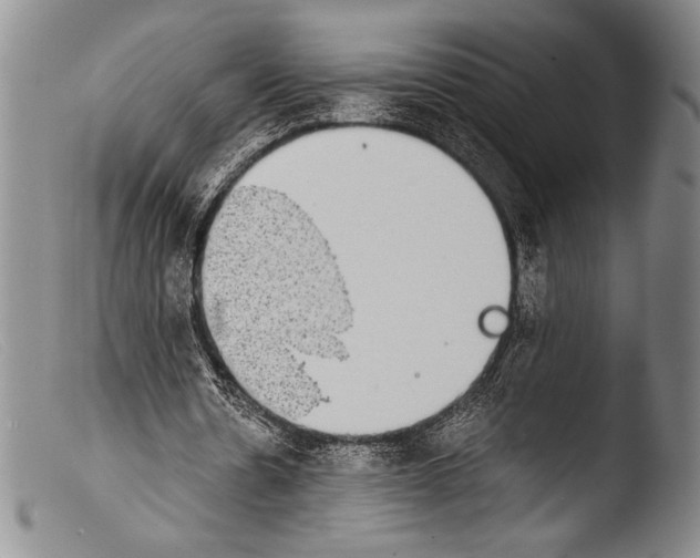 X0000103960530200810311616