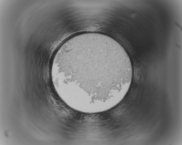 X0000103960532200810311616