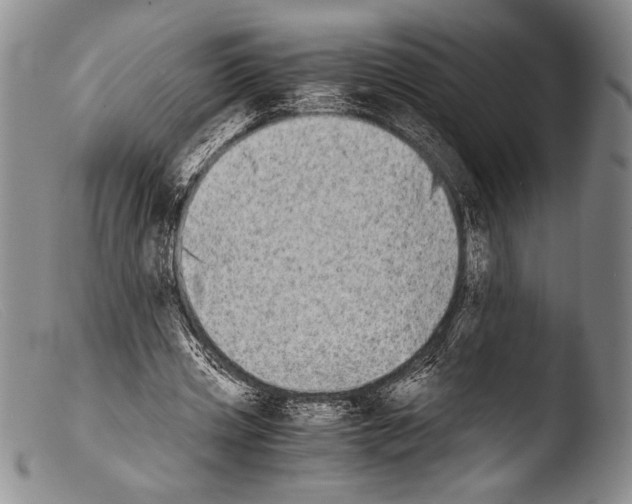 X0000103960533200810311616