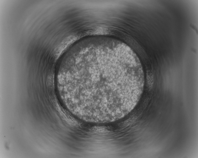 X0000103960534200810311616