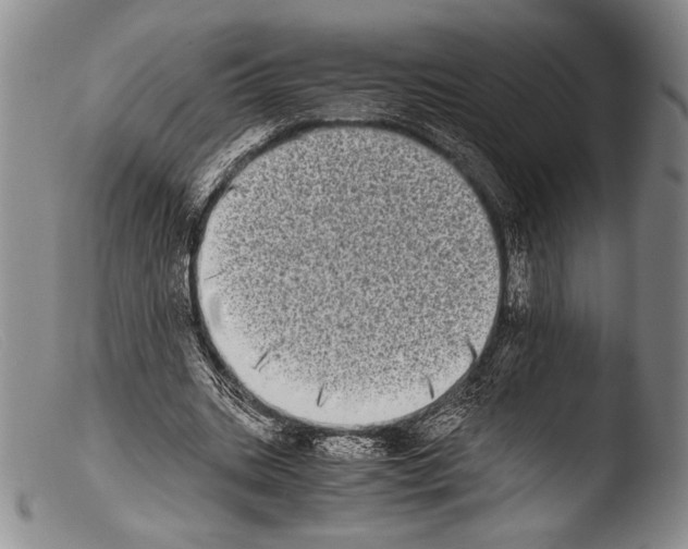 X0000103960535200810311616