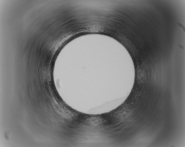 X0000103960536200810311616
