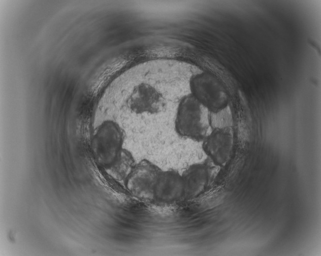 X0000103960537200810311616