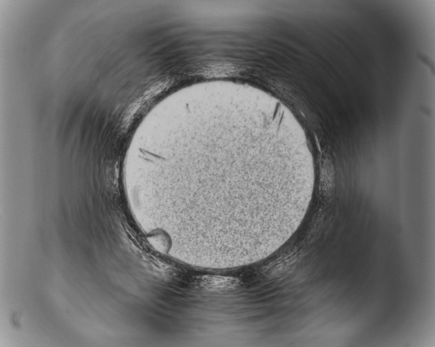 X0000103960539200810311616