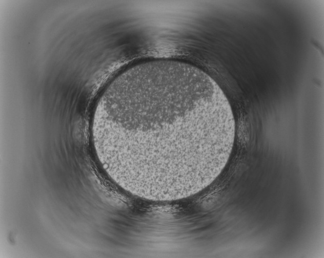 X0000103960540200810311616
