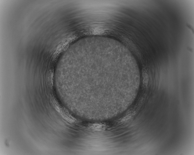 X0000103960542200810311616
