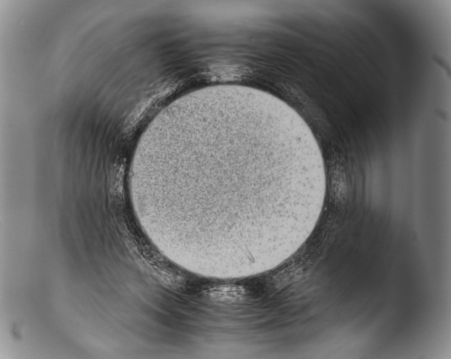X0000103960543200810311616