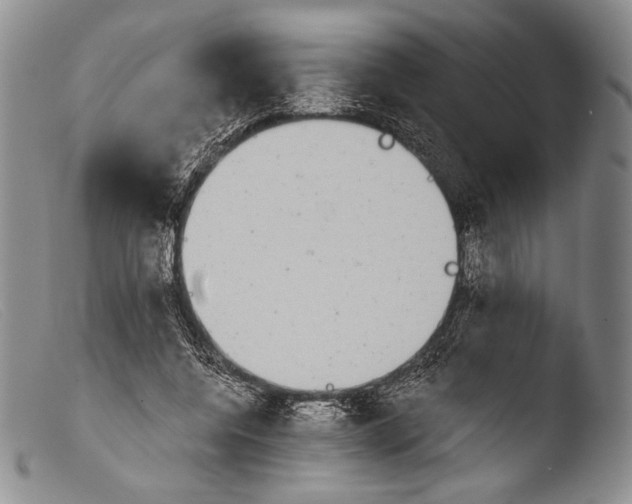 X0000103960544200810311616